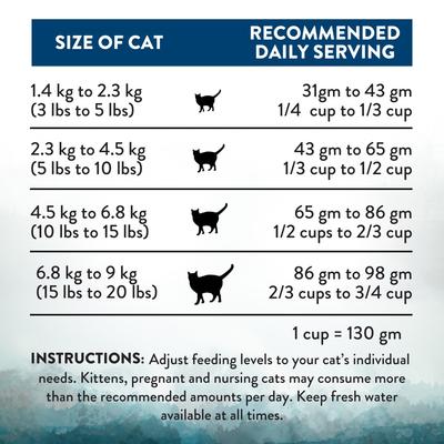 Premium Wild Islands Pacific Catch Seafood & Fish Grain-Free & High-Protein Dry Cat Food, 4-lb bag