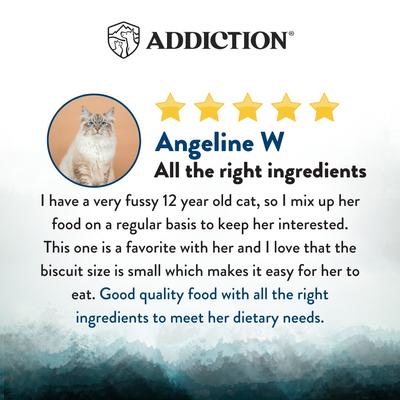 Premium Wild Islands Pacific Catch Seafood & Fish Grain-Free & High-Protein Dry Cat Food, 4-lb bag