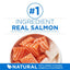 Plus Skin & Coat Health Formula Natural Salmon & Ocean Whitefish High Protein Dry Cat Food, 3.5-lb bag
