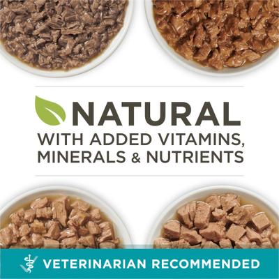 Alimento húmedo natural para gatos con alto contenido proteico, paquete variado de pollo, atún, salmón y trucha, 3 oz, caja de 24