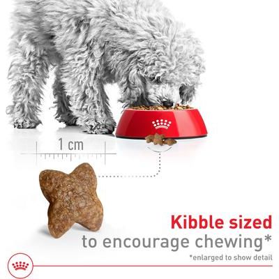 Alimento seco para perros adultos pequeños Size Health Nutrition, bolsa de 14 lb, paquete de 2