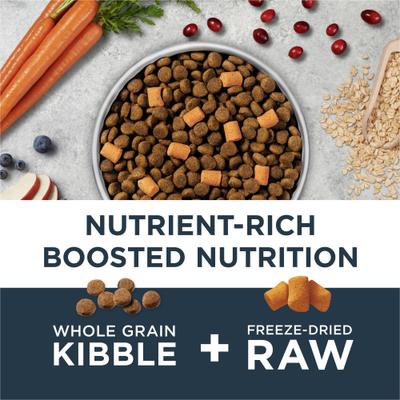 Raw Boost Whole Grain Gut Health Recipe with Real Chicken Dry Dog Food, 3.5-lb bag