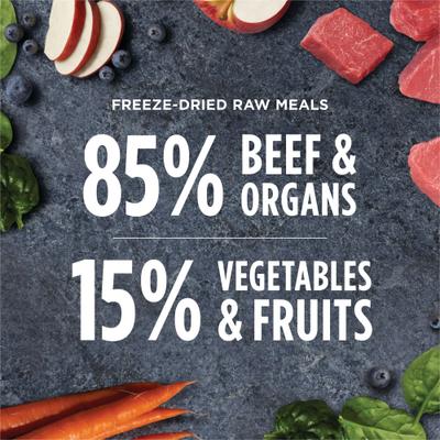 Raw Meals Real Beef Recipe Grain-Free Adult Freeze-Dried Dog Food, 3-oz bag