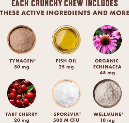 Chicken Flavored Allergy Chew Supplement for Cats, 3.7-oz bag