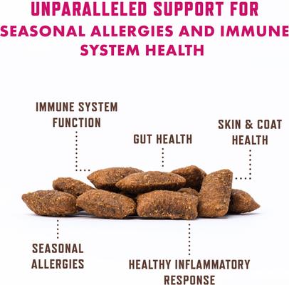 Chicken Flavored Allergy Chew Supplement for Cats, 3.7-oz bag