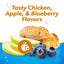 Plus Immune Support Chicken, Apple & Blueberry Flavor Small/Medium Dental Dog Treats, 8 count