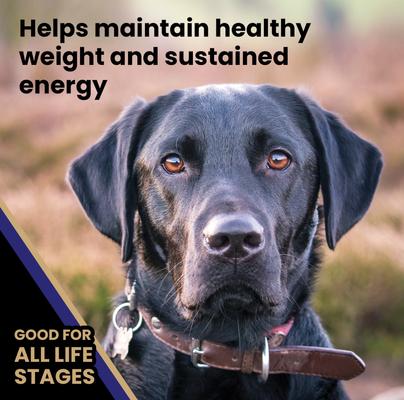 Gluten-Free Beef Meal & Brown Rice Dry Dog Food, 30-lb bag