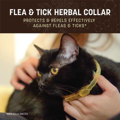 Apothecary Natural Flea & Tick Herbal Collar for Cats