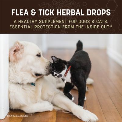 Apothecary Natural Flea & Tick Daily Internal Herbal Drops Oral Supplement for Dogs & Cats, 2-fl oz bottle