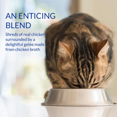 Churu - Golosinas para lamer con estofado de pollo para gatos mayores de 10 años, bolsa de 1.4 oz, 12 unidades