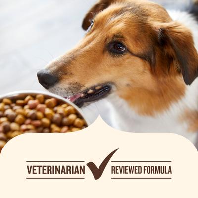 Alimento seco para perros Whole Health Blend de razas pequeñas con pollo y verduras (paquete de 2,7 kg)