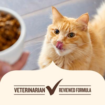 Whole Health Blend Salmon & Brown Rice Recipe Dry Cat Food (Rachael Ray), 14-lb bag