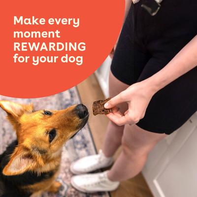 Steak Strips Beef Limited Ingredient Jerky Dog Treats, 2.5-oz bag