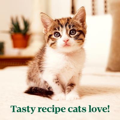 Perfect Portions Kitten Whitefish & Salmon Recipe Pate Wet Cat Food, 2.6-oz, case of 24 twin-packs