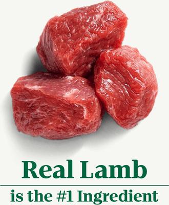 Premium Loaf Savory Lamb, Carrot & Pea Recipe Grain-Free Adult Canned Wet Dog Food, 12.5-oz, case of 12