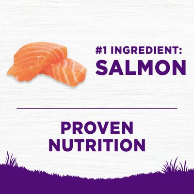 Complete Health Sensitive Skin & Stomach Natural Adult Salmon & Rice Recipe Dry Dog Food, 24-lb bag