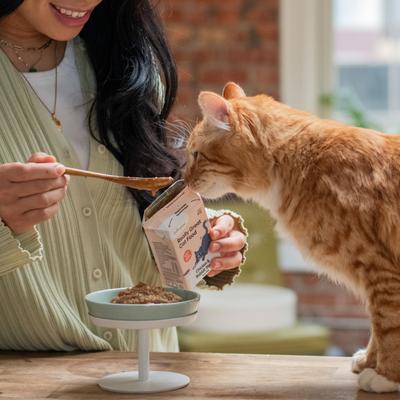 Really Great Cat Food Free Range Chicken & Rabbit High Protein Stew Wet Cat Food, 5.5-oz, case of 6