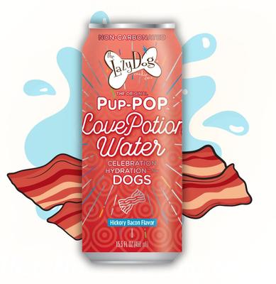 Pup-POP Birthday Water Vanilla Cake Flavor Dog Treat, 15.5-oz can