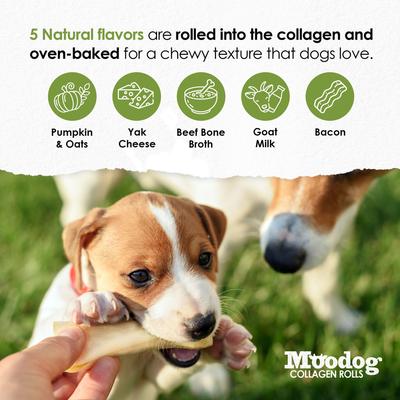 Moodog Beef Corium Collagen 5-inch Probiotics & Prebiotics Oat Flavor Natural Dog Chews, 2 count
