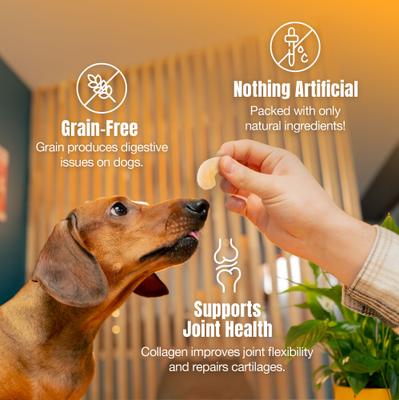 Moodog Beef Protein Puffs Pumpkin & Oatmeal Flavor Crunchy Dog Treats, 1-oz bag