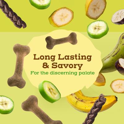 Pawtains Bone Dog Chew, Large, 2 count