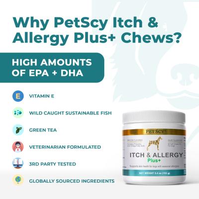 Allergy Itch Relief Plus Bacon Flavored Soft & Chew Supplement for Dogs, 5.4-oz jar, 60 count