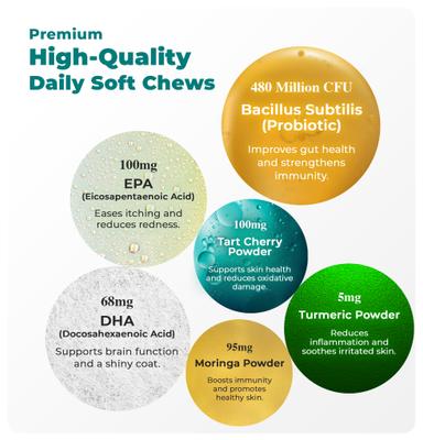 Allergy Itch Relief Plus Bacon Flavored Soft & Chew Supplement for Dogs, 5.4-oz jar, 60 count