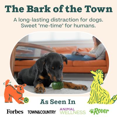 Starter Pack Chicken & Peanut Butter Flavored Treats, Silicone Mold & Pupsicle Dog Toy, Small