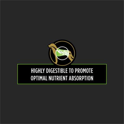 HA Hydrolyzed Vegetarian Dry Dog Food, 25-lb bag