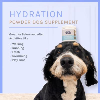 Hydration Powder + Electrolyes Powder Supplement for Dogs, 3.7-oz tub