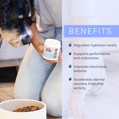 Hydration Powder + Electrolyes Powder Supplement for Dogs, 3.7-oz tub