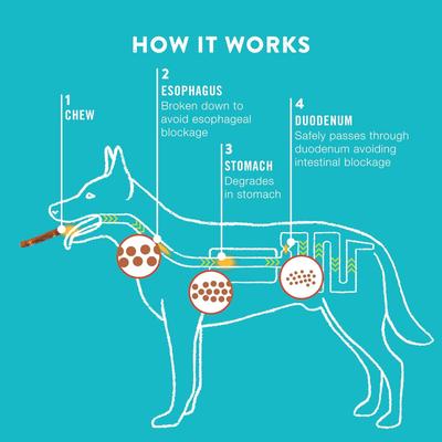 Salmon & Beef Collagen Roll Hard Chew Dog Treats, 8 count