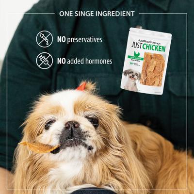 Chicken Breast Dehydrated Dog Treats, 2.5-oz, pack of 4