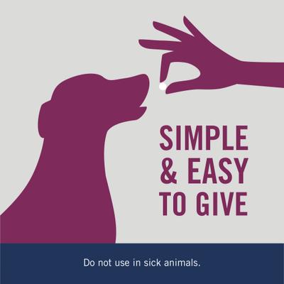 7 Way Dewormer for Hookworms, Roundworms & Tapeworms for Medium & Large Breed Dogs, 6 count