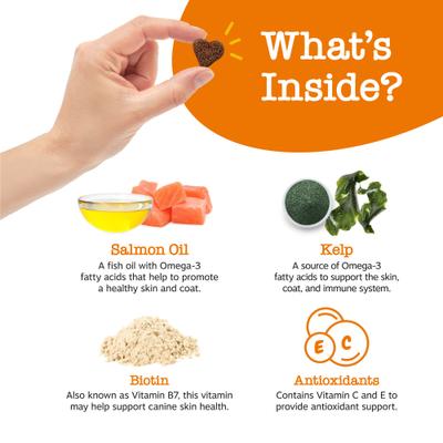 Skin & Coat Bites Bacon Flavored Soft Chews Salmon Oil Supplement for Dogs, 90 count