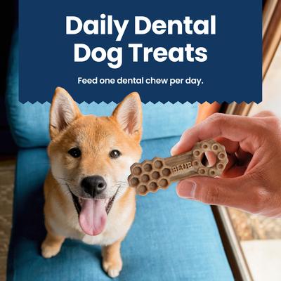 Large Natural Chicken & Spearmint Dental Dog Chews Treats, 7 count