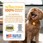 Allergy and Immune Mini Bites, sabor cordero, Perros pequeños. 90 chews