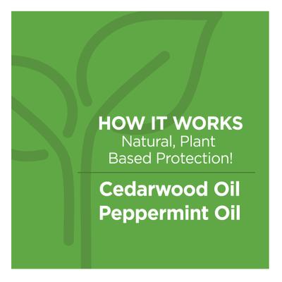 Naturals Flea & Tick Collar for Cats, 1 Collar (4-mos. supply)