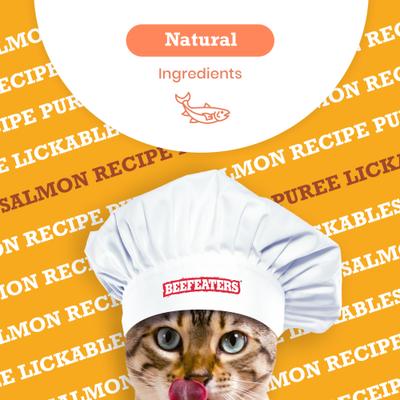 Lickables Salmon Puree Recipe Cat Treat, 1.59-oz bag, case of 12
