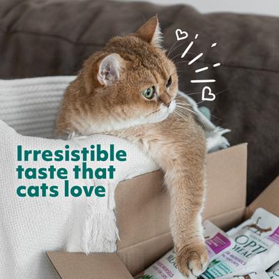 Indoor Health Chicken & Turkey Recipe Grain-Free Tender Morsels in Gravy Adult Cat Food, 3-oz pouch, case of 12