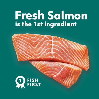 Indoor Health Grain-Free Tender Morsels with Real Shrimp & Salmon in Savory Sauce Adult Cat Food, 3-oz pouch, case of 12