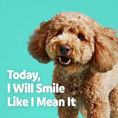 Medium Daily Dental Chew Treats for Dogs, Chicken Flavor, 30 count, bundle of 2