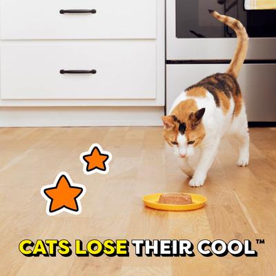 Chicken, Seafood, Backyard Cookout & Catnip Variety Pack Bites in Gravy Adult Wet Cat Food, 3.5-oz tray, case of 24