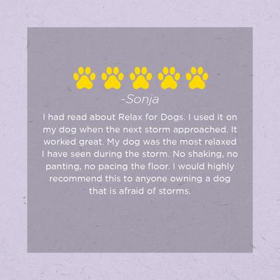 Relax Stress & Anxiety Formula Calming Liquid for Dogs, 1-fl oz bottle