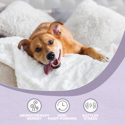 Relax Stress & Anxiety Formula Calming Liquid for Dogs, 1-fl oz bottle