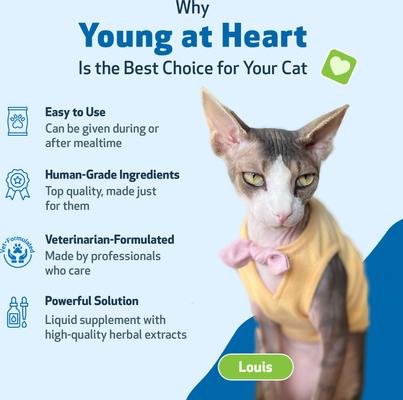 Young at Heart Bacon Flavored Liquid Heart Supplement for Cats, 2-fl oz bottle