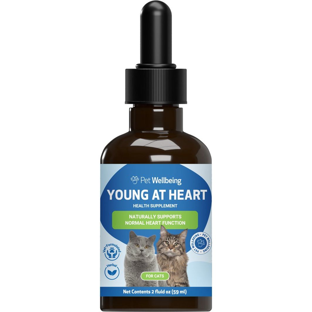 Young at Heart Liquid Heart Supplement for Cats, sabor Tocino. 60 ml. - Pet Wellbeing