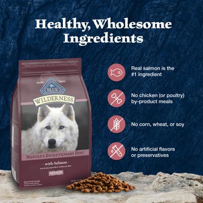 Wilderness Senior High-Protein Salmon Recipe Dry Dog Food, 24-lb bag