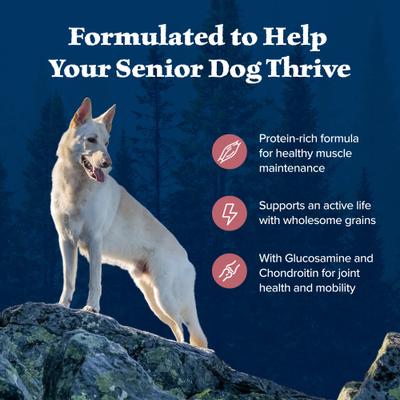 Wilderness Senior High-Protein Salmon Recipe Dry Dog Food, 24-lb bag