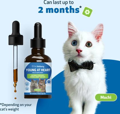 Young at Heart Bacon Flavored Liquid Heart Supplement for Cats, 2-fl oz bottle